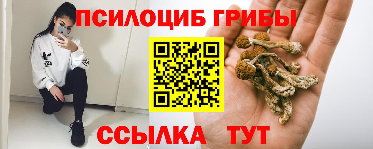 Коммунар  Псилоцибиновые грибы MAGIC MUSHROOMS  Вход с VPN  Псилоцибиновые грибы Psilocybe 